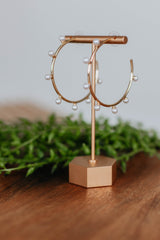 Danelle Hoop Earrings