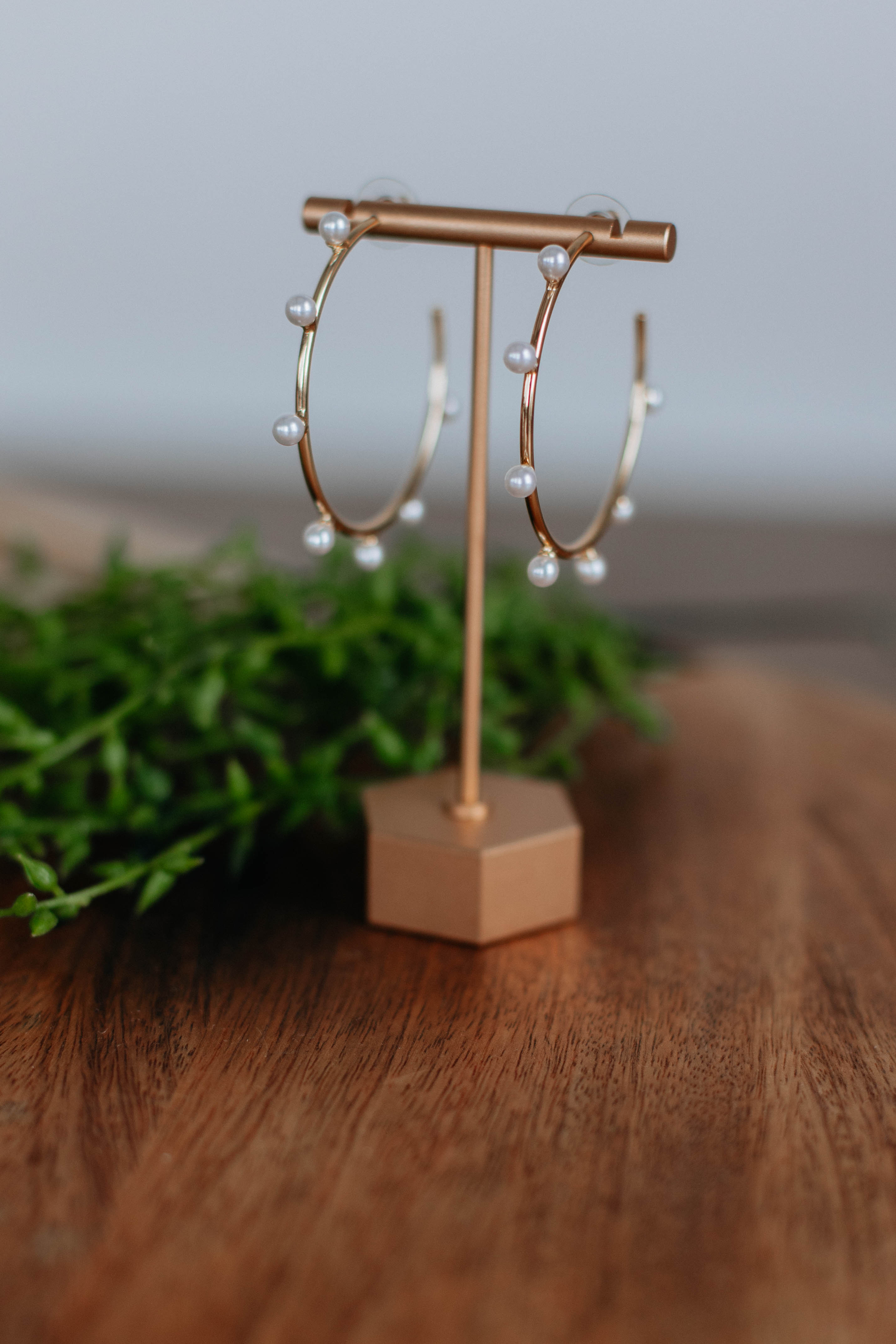 Danelle Hoop Earrings